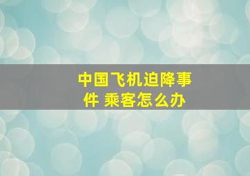 中国飞机迫降事件 乘客怎么办